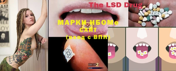 мет Пересвет