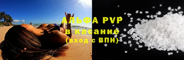 PSILOCYBIN Балабаново