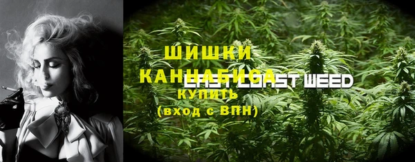 мет Пересвет